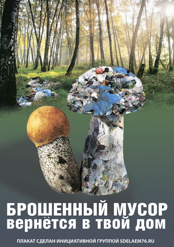Изображения.