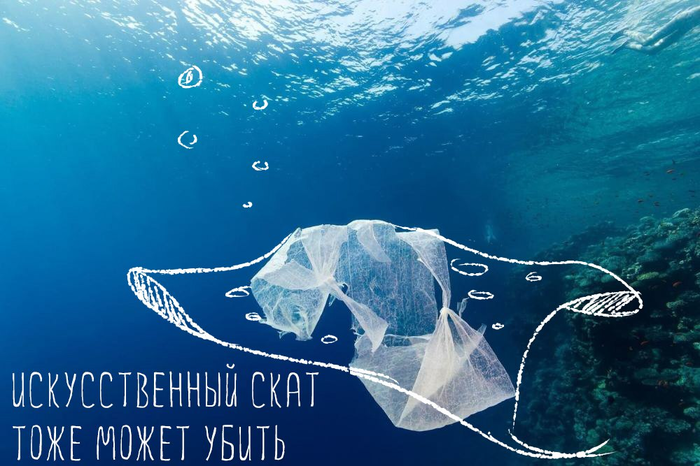 Изображения.