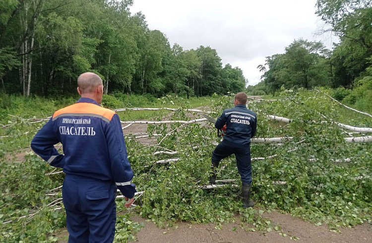 Почти 100 специалистов борются с последствиями паводка в северных районах Приморья.