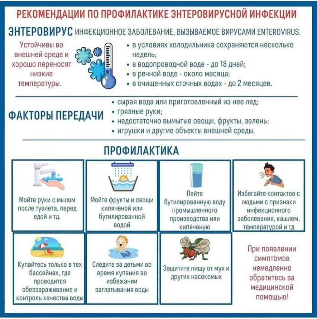 Осторожно ЭТЕРОВИРУС!.