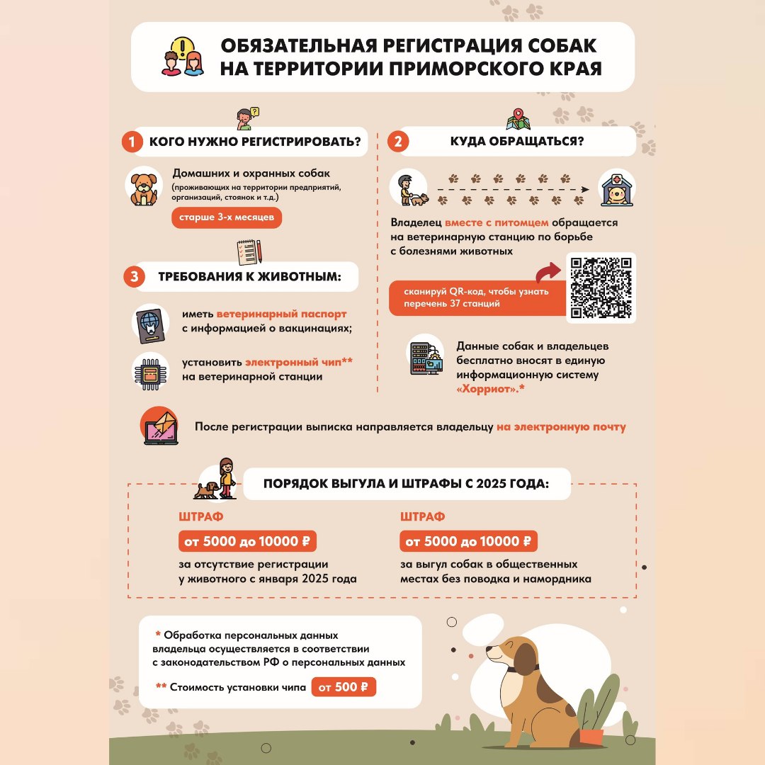 Теперь регистрация домашних и охранных собак стала обязательной.