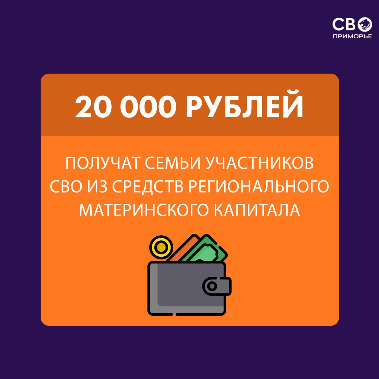 20 тысяч рублей из регионального маткапитала семьи участников СВО могут потратить на любые цели.