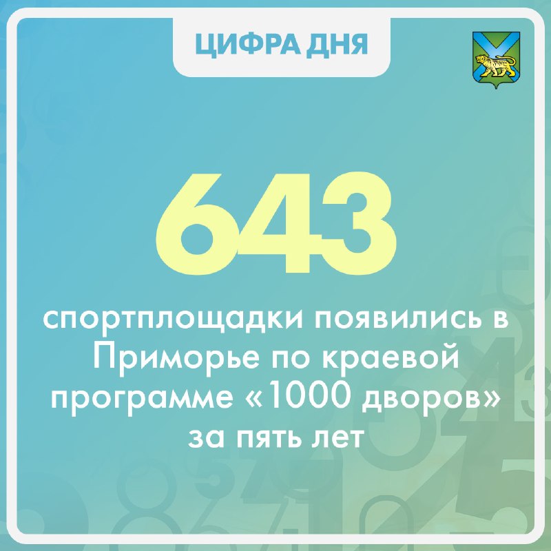 Более 600 современных спортивных площадок появились возле домов жителей Приморья за последние несколько лет..