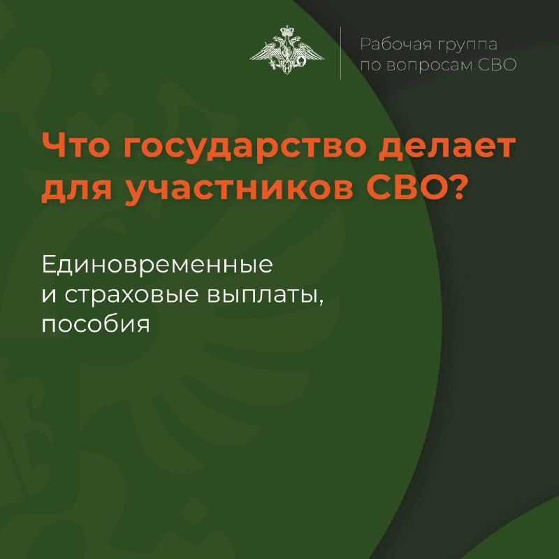 Что государство делает для участников СВО?.