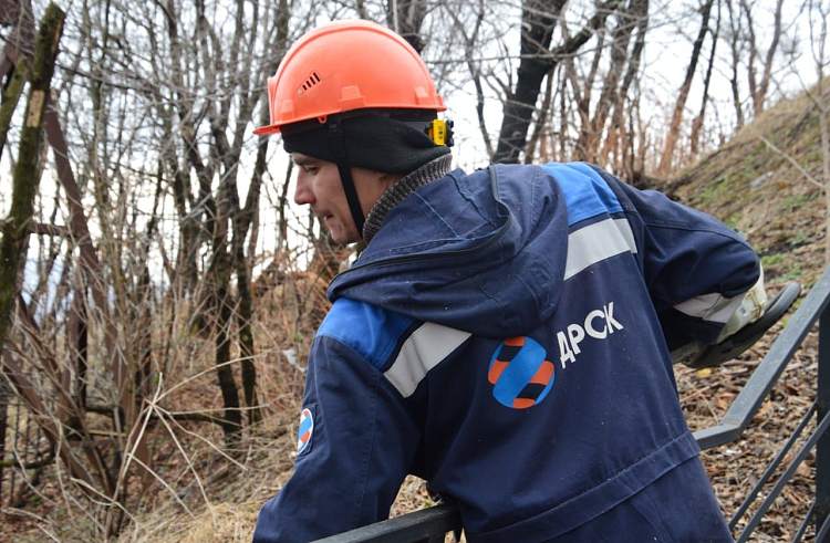Просеки под ЛЭП чистят в Приморье.
