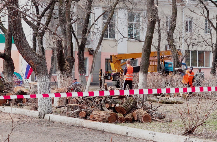 Сквер благоустроят по нацпроекту в приморском Дальнереченске.