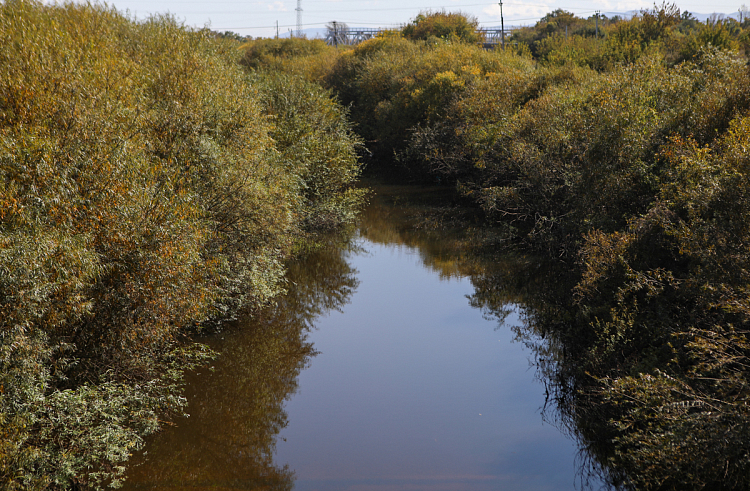 На реках Приморского края продолжается интенсивный спад воды.