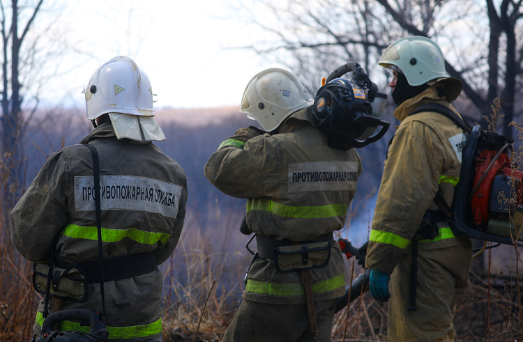 Два природных пожара потушили в Приморье за выходные.