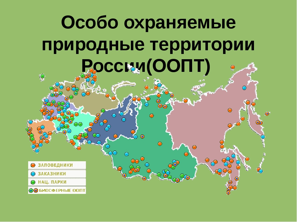 Как называется вид особо охраняемых природных территорий. Особо охраняемые природные территории. Особо охраняемые природные территории России. Особо охраняемые природные территории (ООПТ). Карта заповедников России.