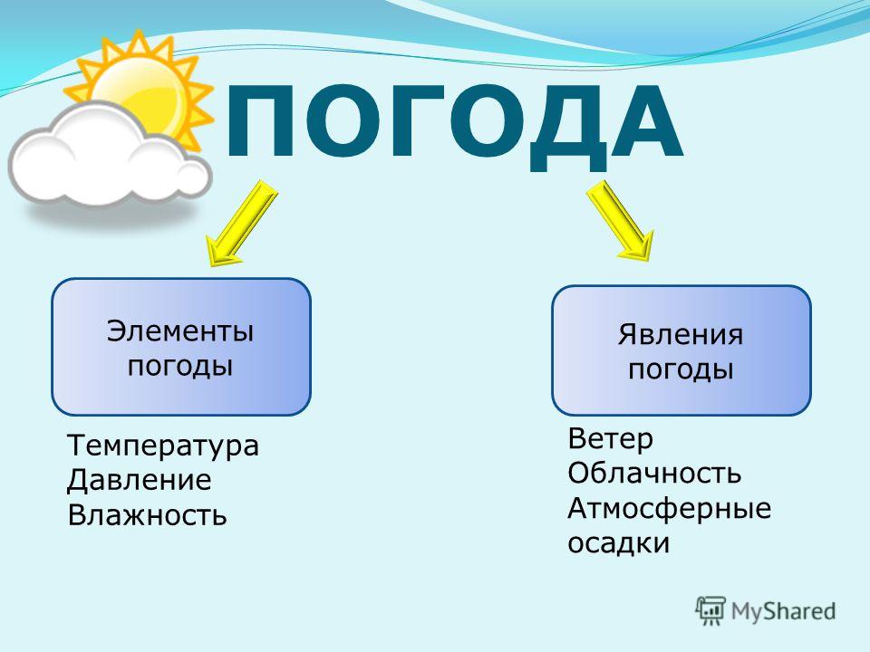 На связи с погодой.