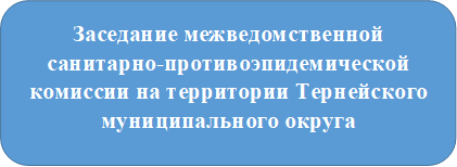 Заседание межведомственной санитарно-противоэпидемической комиссии.