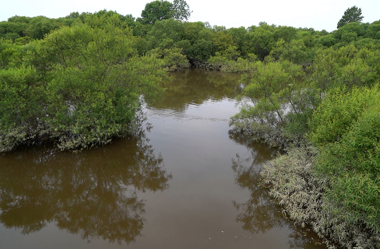 Спад воды наблюдается на реках Приморья.