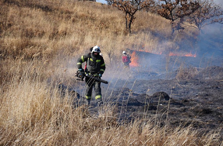 Шесть природных пожаров ликвидировано в Приморье за сутки.