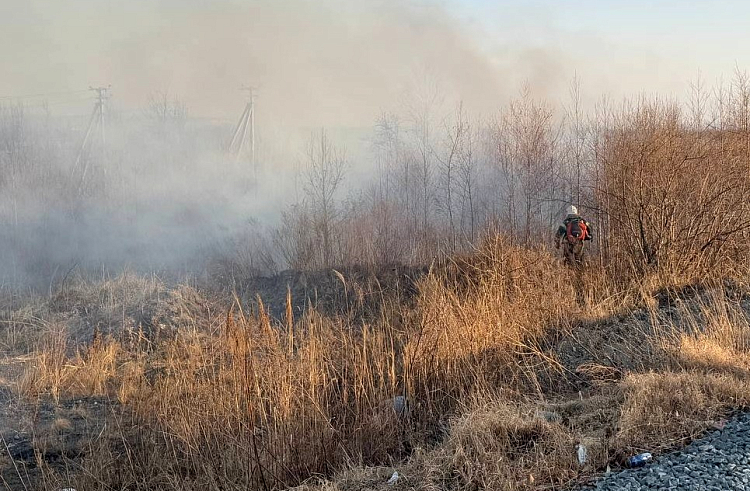 134 огнеборца тушили пожары в Приморье.