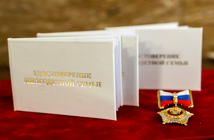 Более 477 миллионов рублей направили на поддержку многодетных семей в Приморье с начала года.