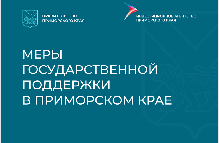 Приморье предлагает 94 меры поддержки для бизнеса. МЕРЫ ПОДДЕРЖКИ.