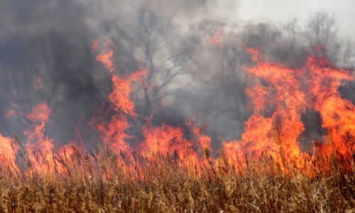 В Приморье действует пожароопасный сезон!.