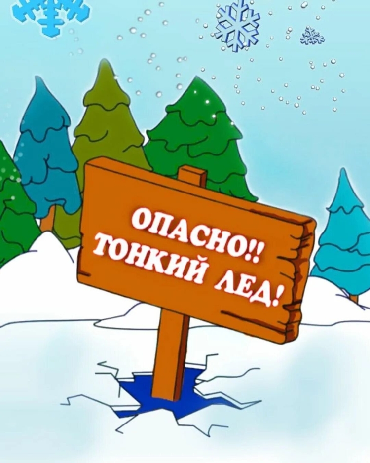 Уважаемые гости и жители Тернейского муниципального округа!.