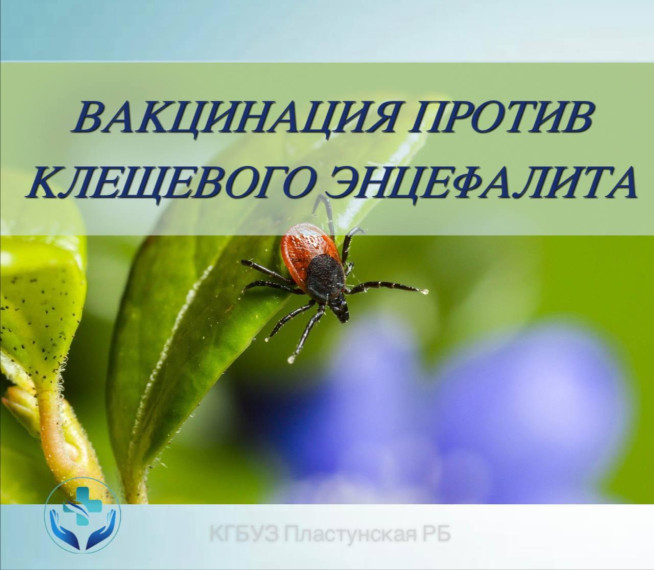 Клещевой энцефалит! Вакцинация!. Клещевой энцефалит! Вакцинация!.