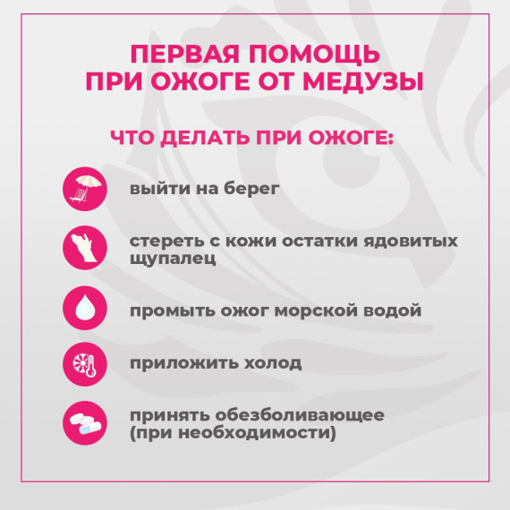 На пляжах Приморья начали появляться медузы!. На пляжах Приморья начали появляться медузы!.