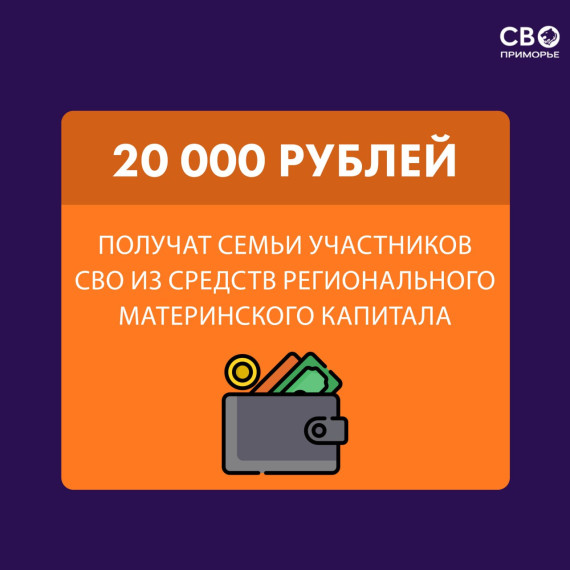 20 тысяч рублей из регионального маткапитала семьи участников СВО могут потратить на любые цели. 20 тысяч рублей из регионального маткапитала семьи участников СВО могут потратить на любые цели.