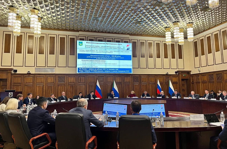 20 миллионов рублей на компенсацию затрат для экспортеров выделяет Правительство Приморья ежегодно. 20 миллионов рублей на компенсацию затрат для экспортеров выделяет Правительство Приморья ежегодно.