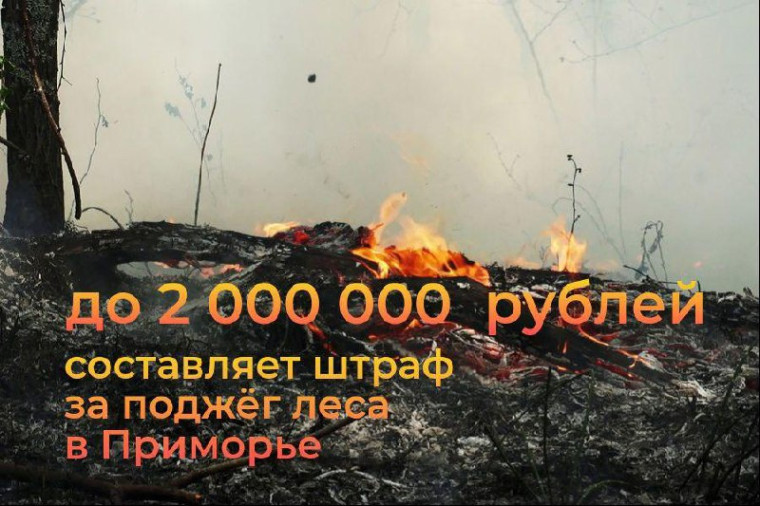 Главной причиной большинства лесных пожаров являются действия человека. Главной причиной большинства лесных пожаров являются действия человека.