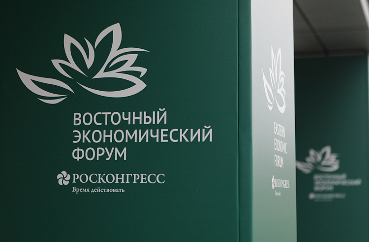 Президент России утвердил перечень поручений по итогам ВЭФ-2024. Президент России утвердил перечень поручений по итогам ВЭФ-2024.