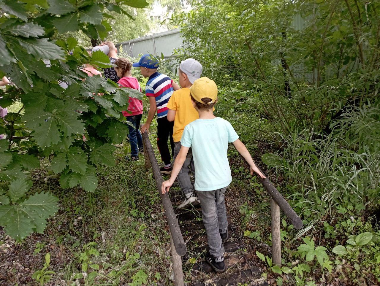 Путешествие по экологической тропе!.